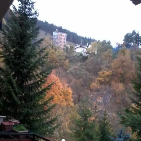 Apartman Luna Reale *