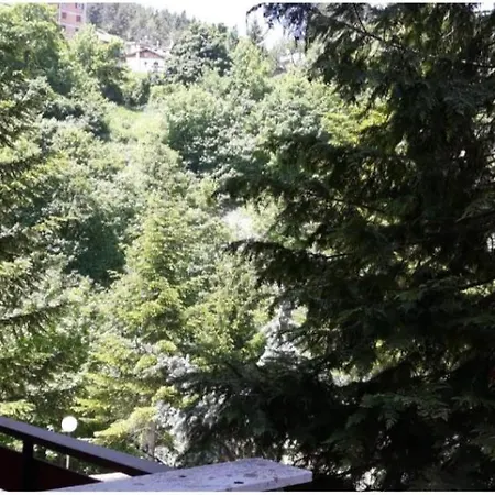 Appartement Luna Reale *