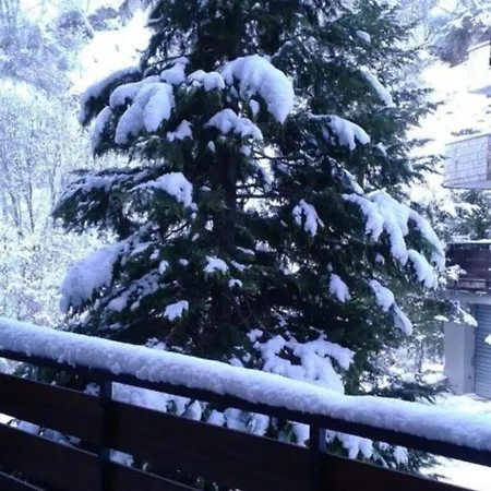 Luna Reale Apartament