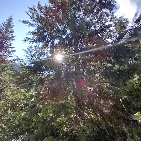 Apartament Luna Reale