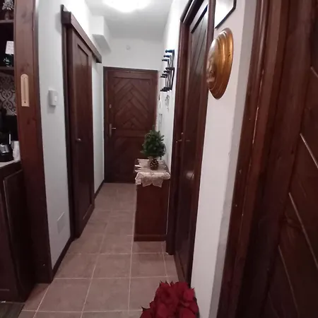 Apartment Luna Reale