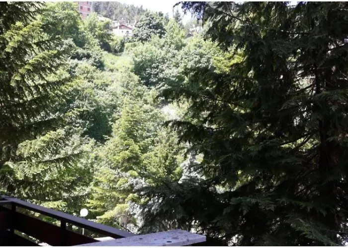 Apartamento Luna Reale *