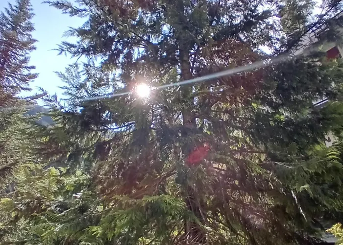 Apartamento Luna Reale